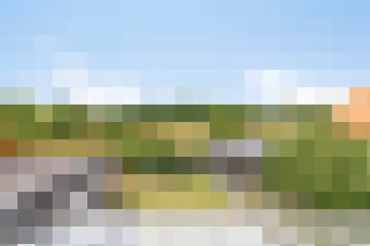 Hogezoom 113 Renesse thumbnail 37