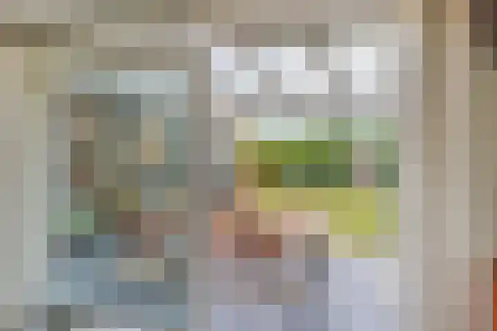 Hogezoom 113 Renesse thumbnail 38