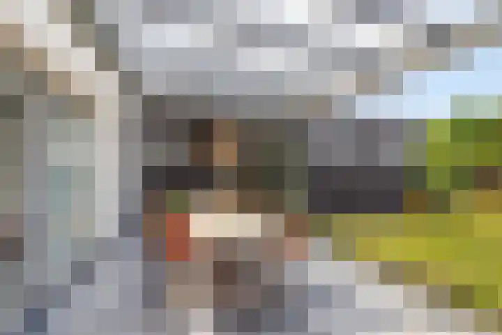 Hogezoom 113 Renesse thumbnail 39