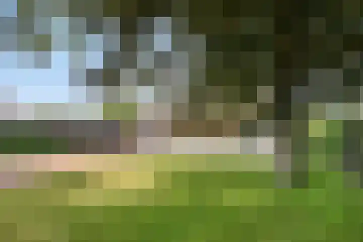 Hogezoom 113 Renesse thumbnail 4