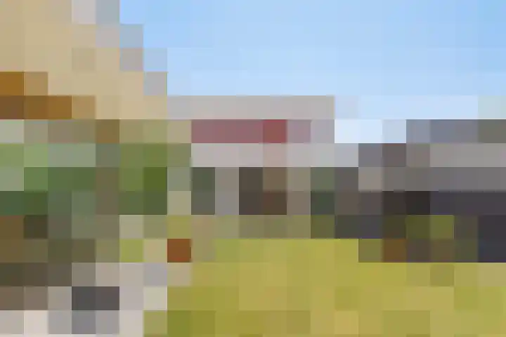 Hogezoom 113 Renesse thumbnail 41