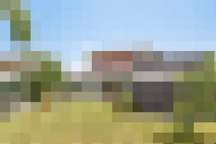 Hogezoom 113 Renesse thumbnail 42