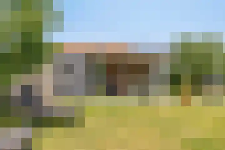 Hogezoom 113 Renesse thumbnail 43