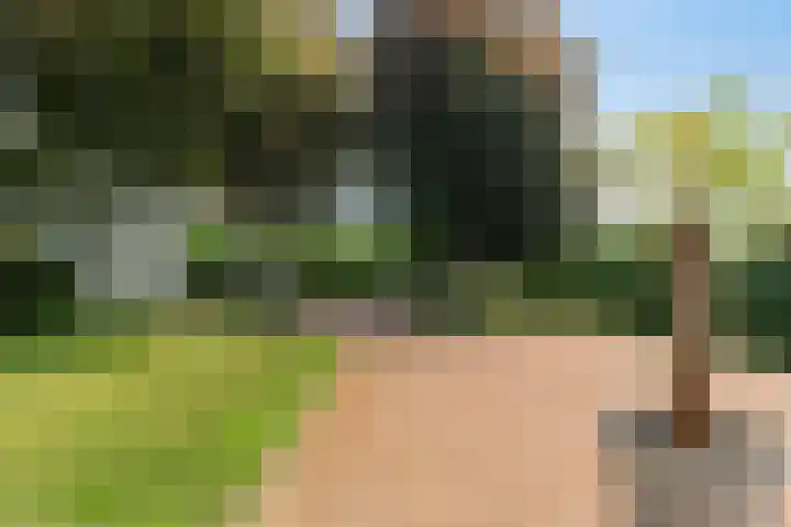 Hogezoom 113 Renesse thumbnail 45