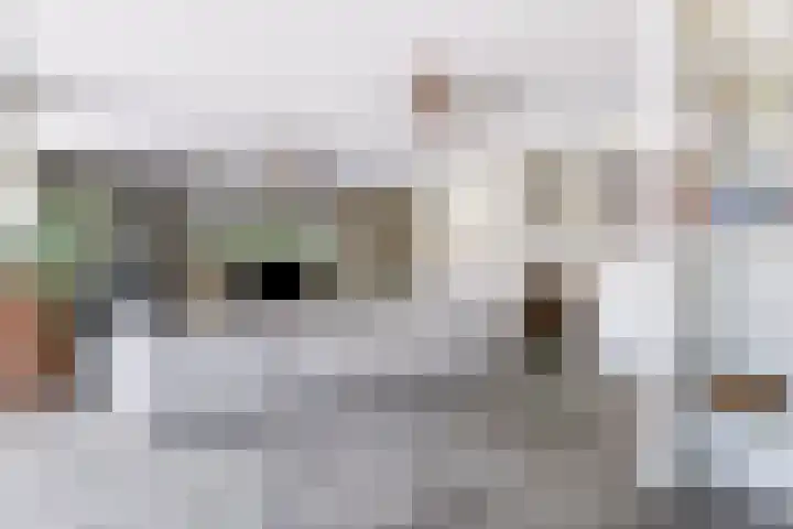 Hogezoom 113 Renesse thumbnail 9