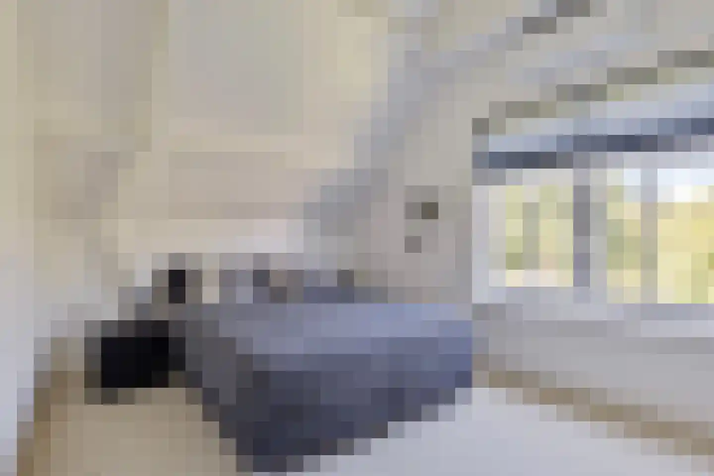 Hogezoom 12 Burgh-Haamstede thumbnail 31