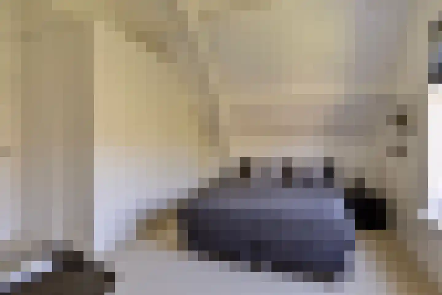Hogezoom 12 Burgh-Haamstede thumbnail 32