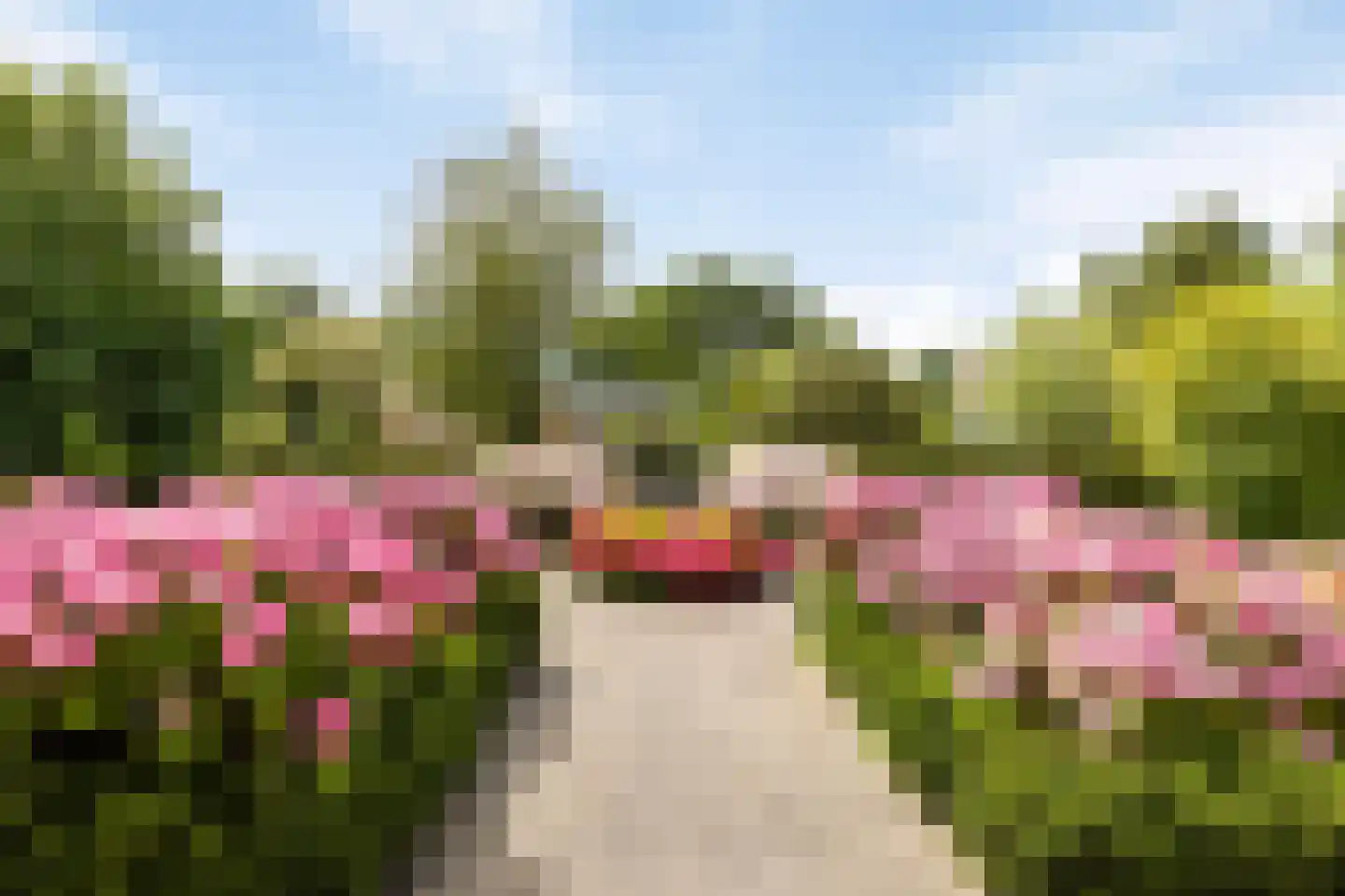 Hogezoom 12 Burgh-Haamstede thumbnail 54
