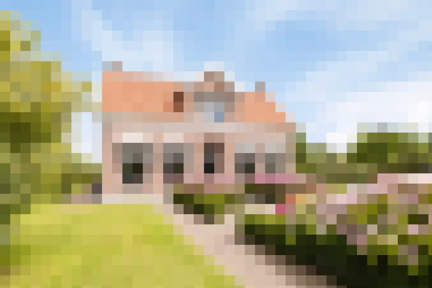 Hogezoom 12 Burgh-Haamstede thumbnail 58