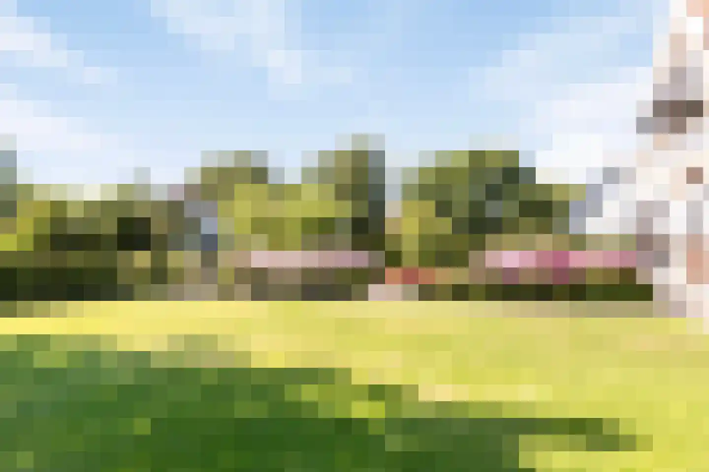 Hogezoom 12 Burgh-Haamstede thumbnail 59