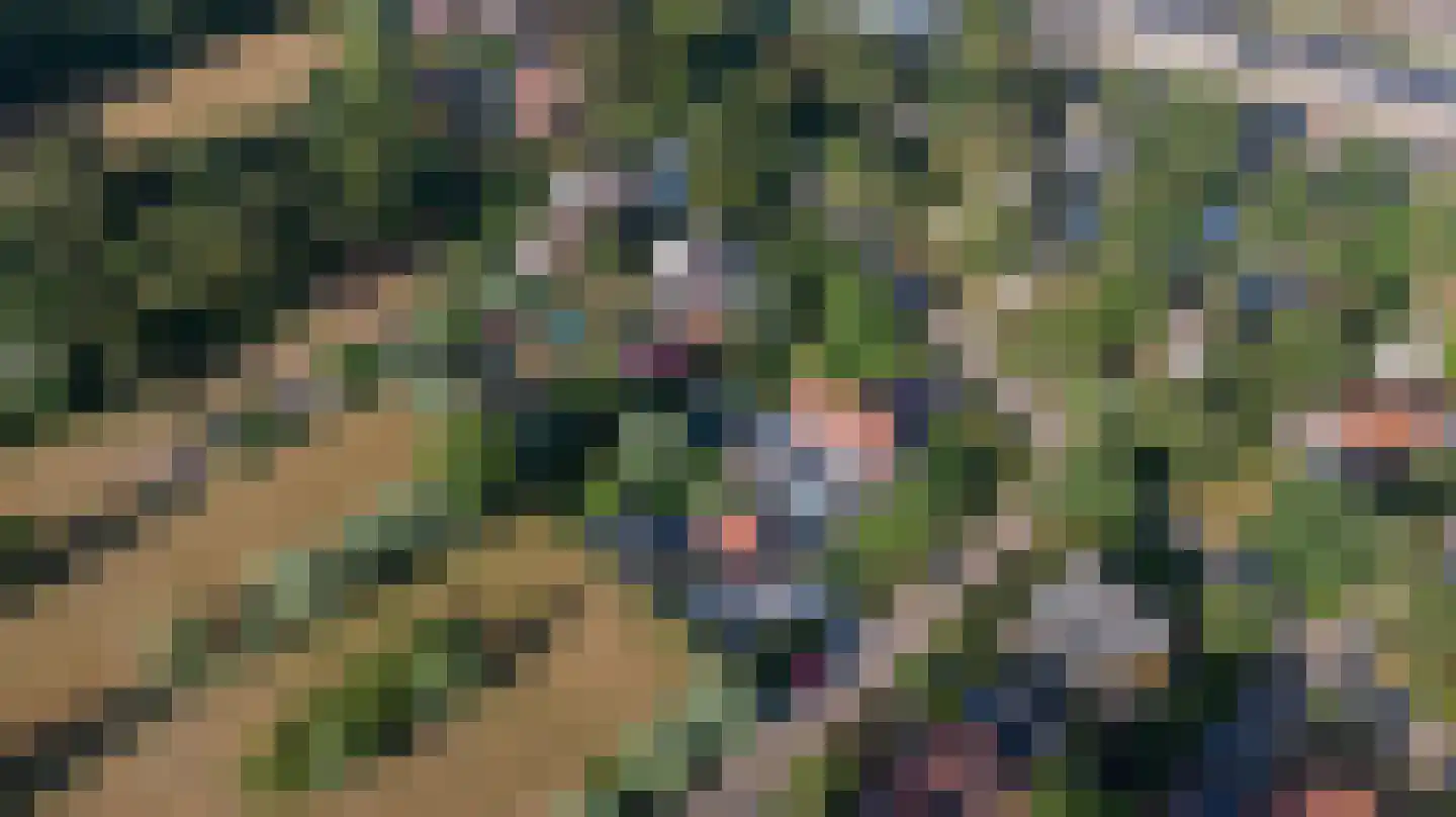Hogezoom 12 Burgh-Haamstede thumbnail 68