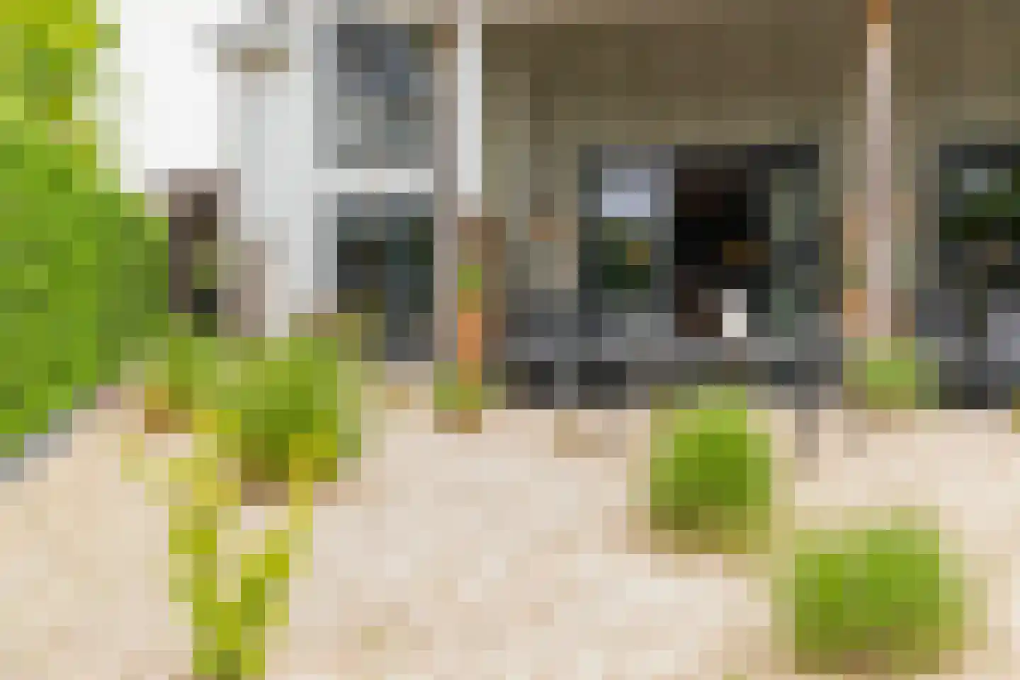 Hogezoom 139 in Renesse