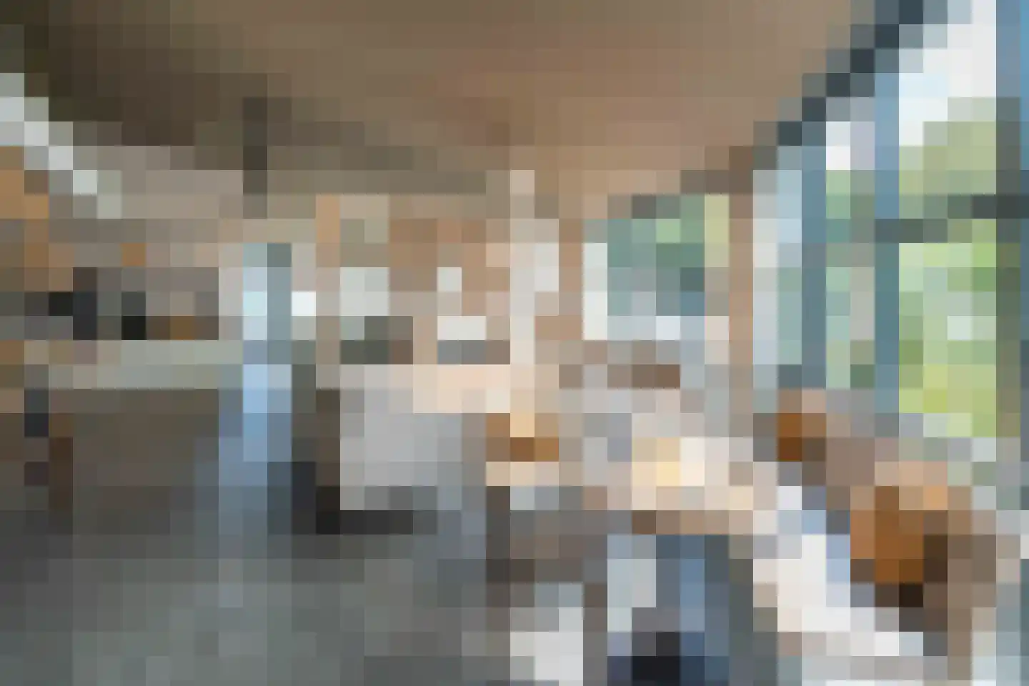 Hogezoom 139 Renesse thumbnail 13