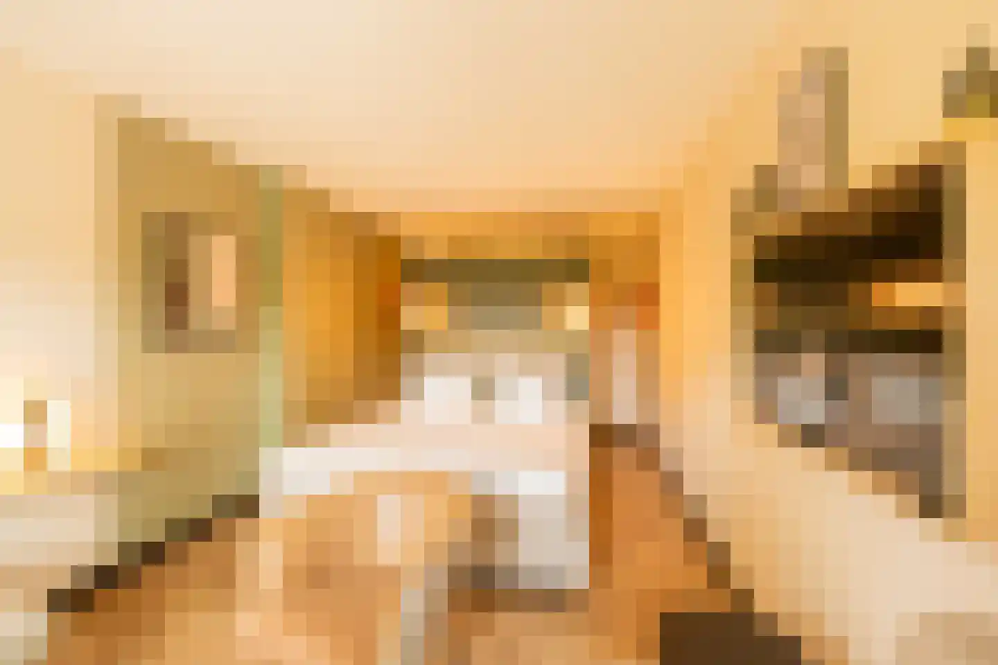 Hogezoom 139 Renesse thumbnail 14