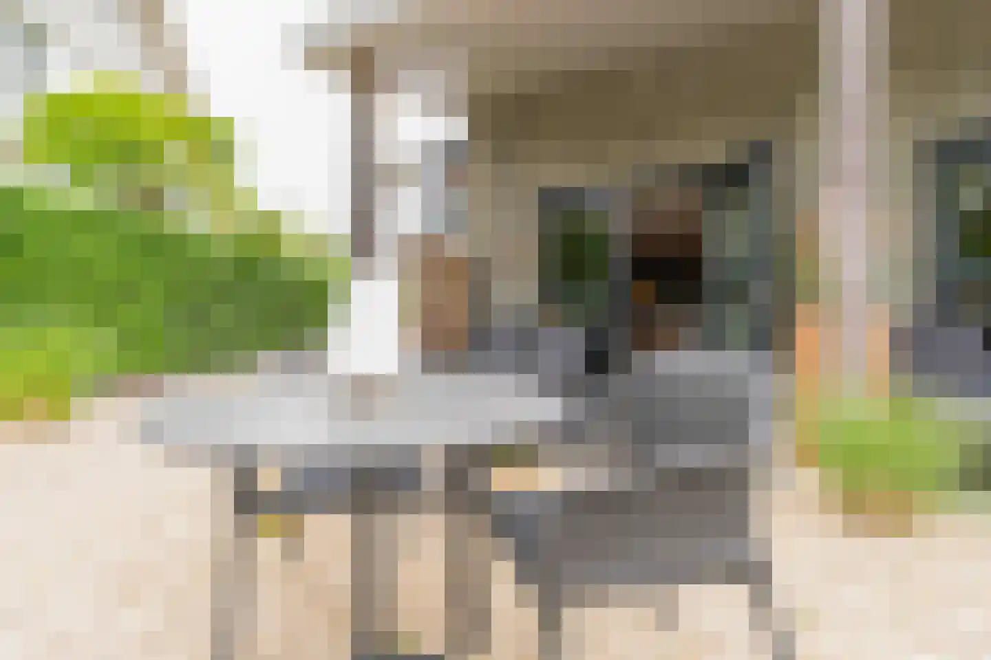 Hogezoom 139 Renesse thumbnail 16