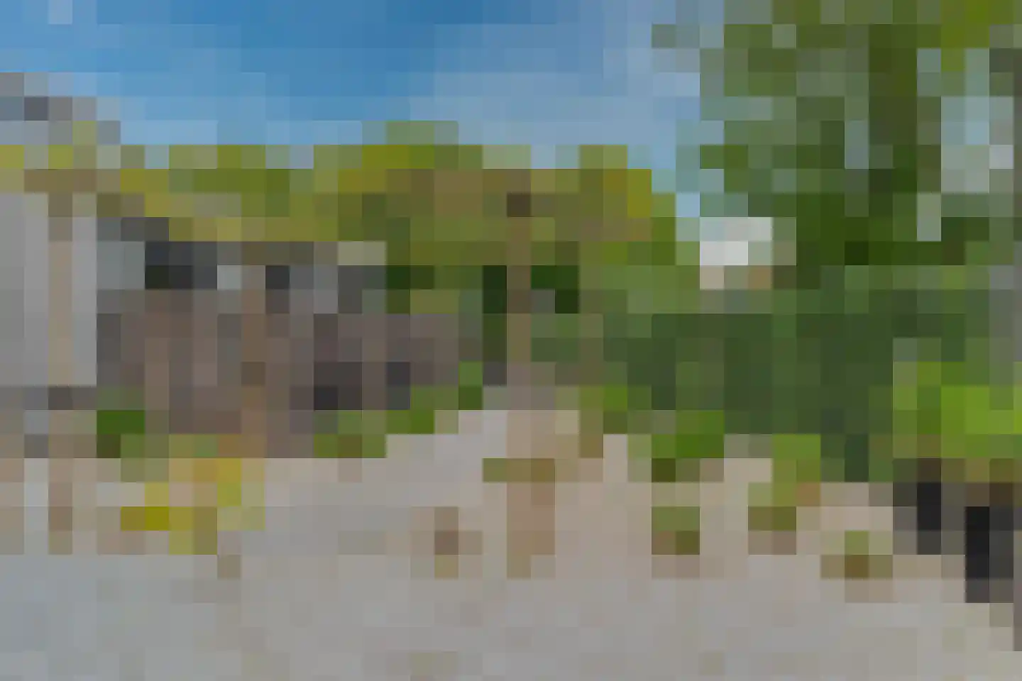 Hogezoom 139 Renesse thumbnail 17