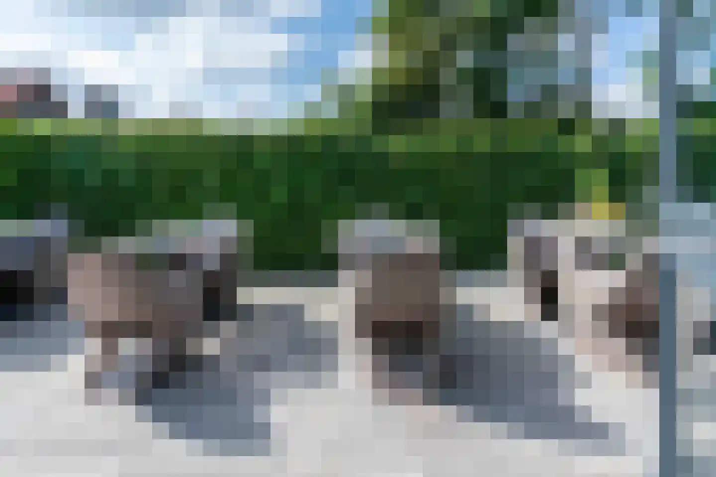 Hogezoom 139 Renesse thumbnail 21