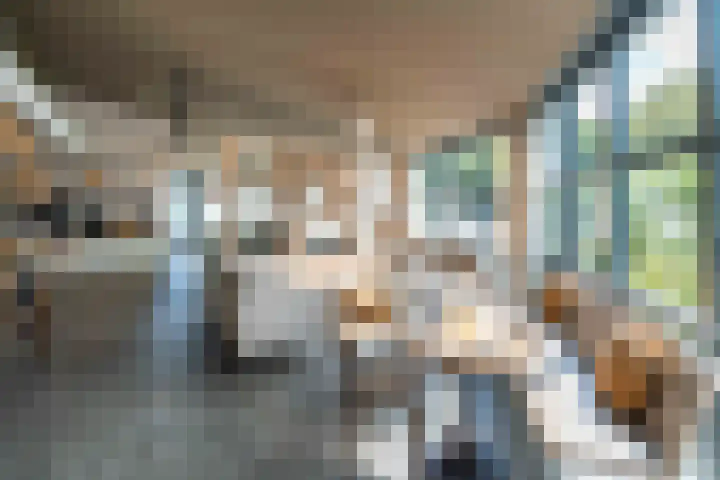 Hogezoom 139 Renesse thumbnail 22