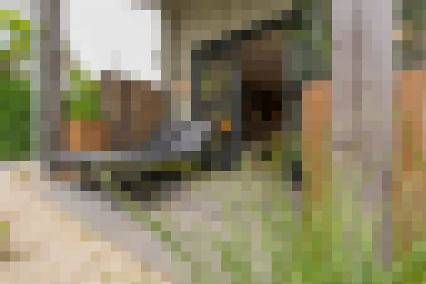 Hogezoom 139 Renesse thumbnail 4