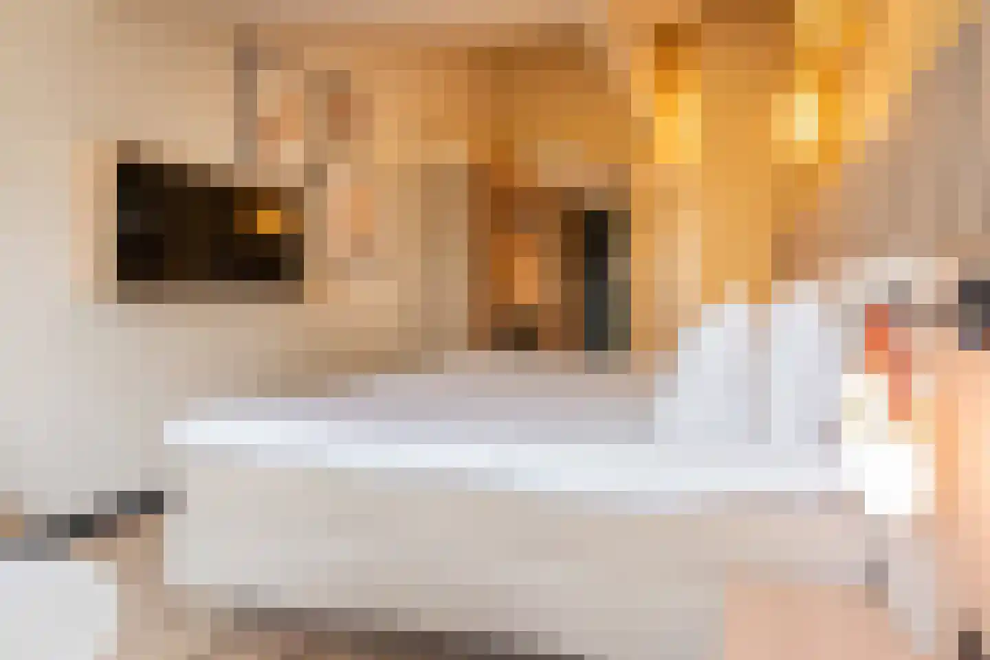 Hogezoom 139 Renesse thumbnail 7