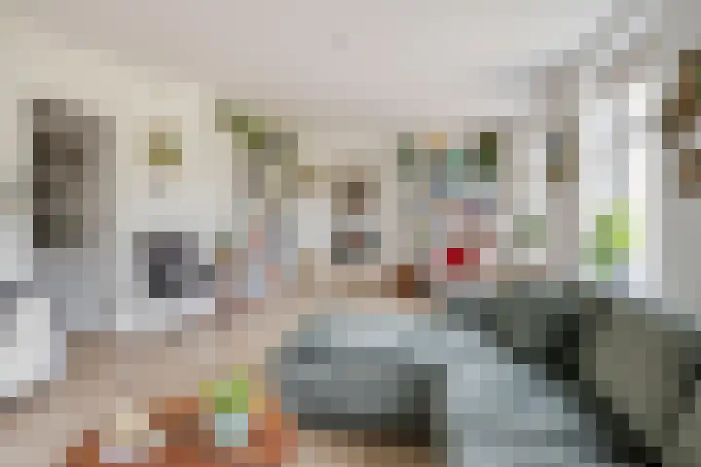 Hogezoom 160 Renesse thumbnail 10