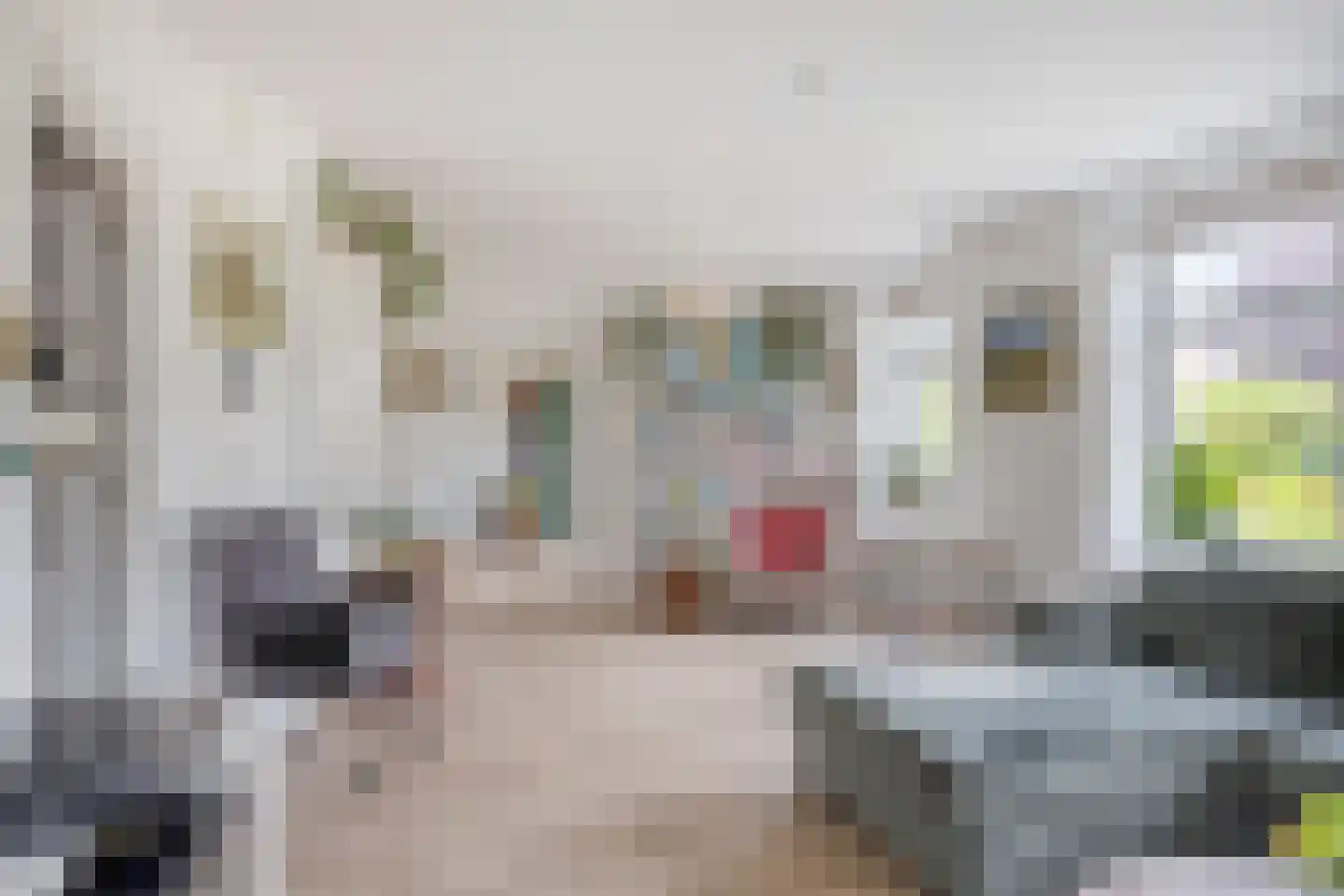 Hogezoom 160 Renesse thumbnail 10