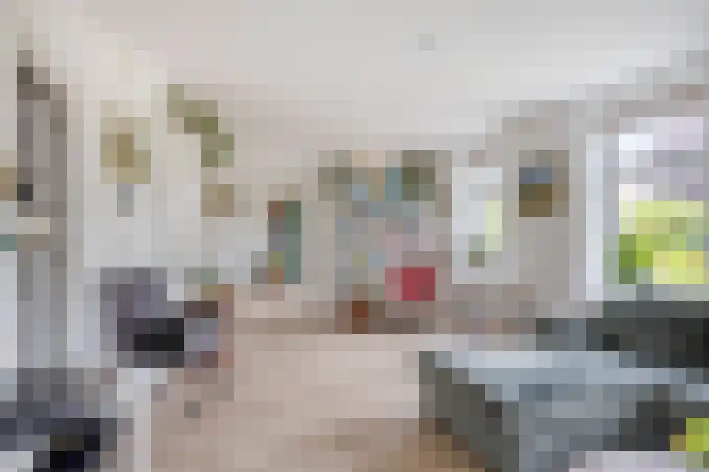 Hogezoom 160 Renesse thumbnail 11