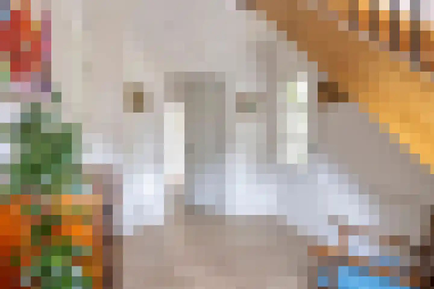 Hogezoom 160 Renesse thumbnail 21