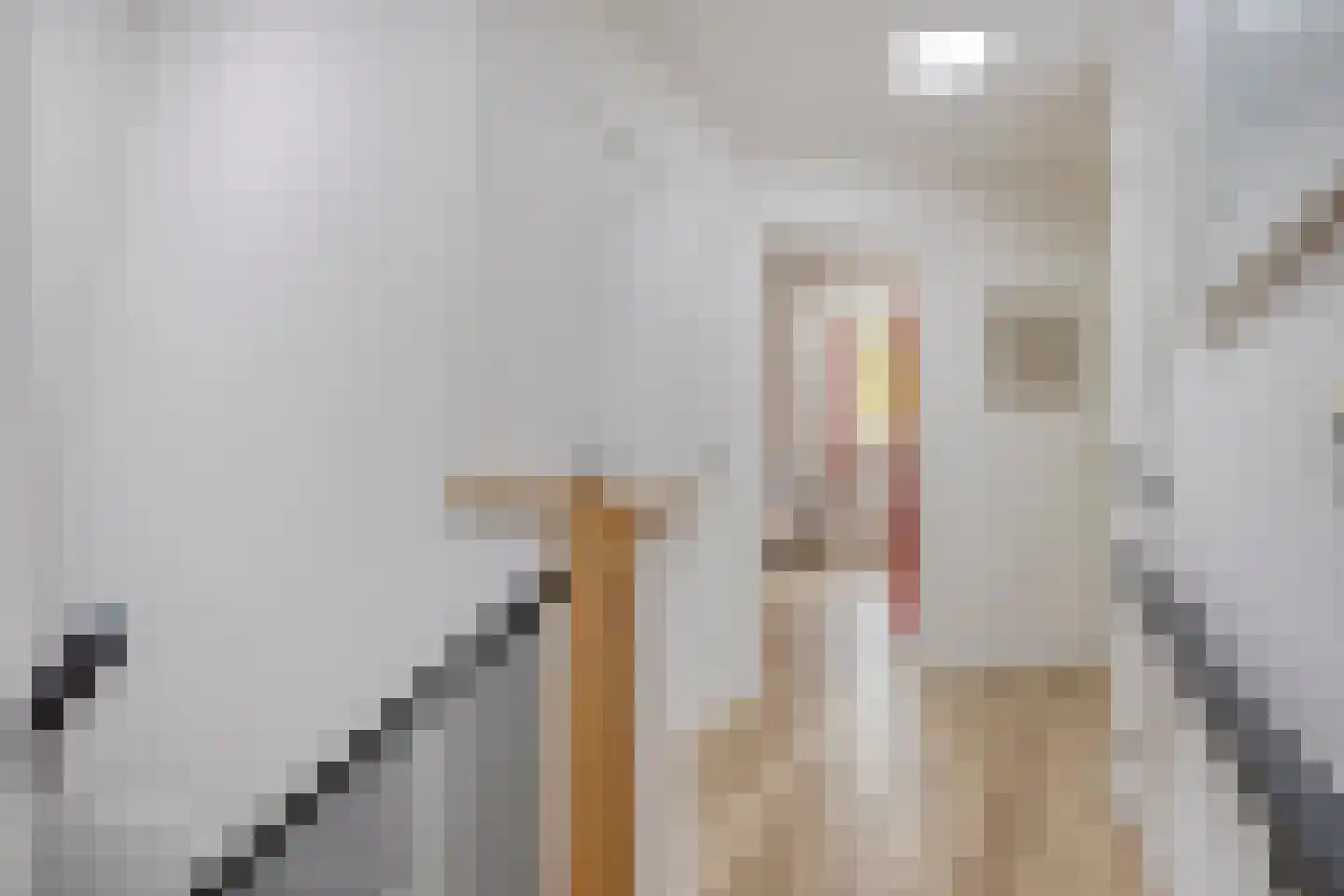 Hogezoom 160 Renesse thumbnail 22