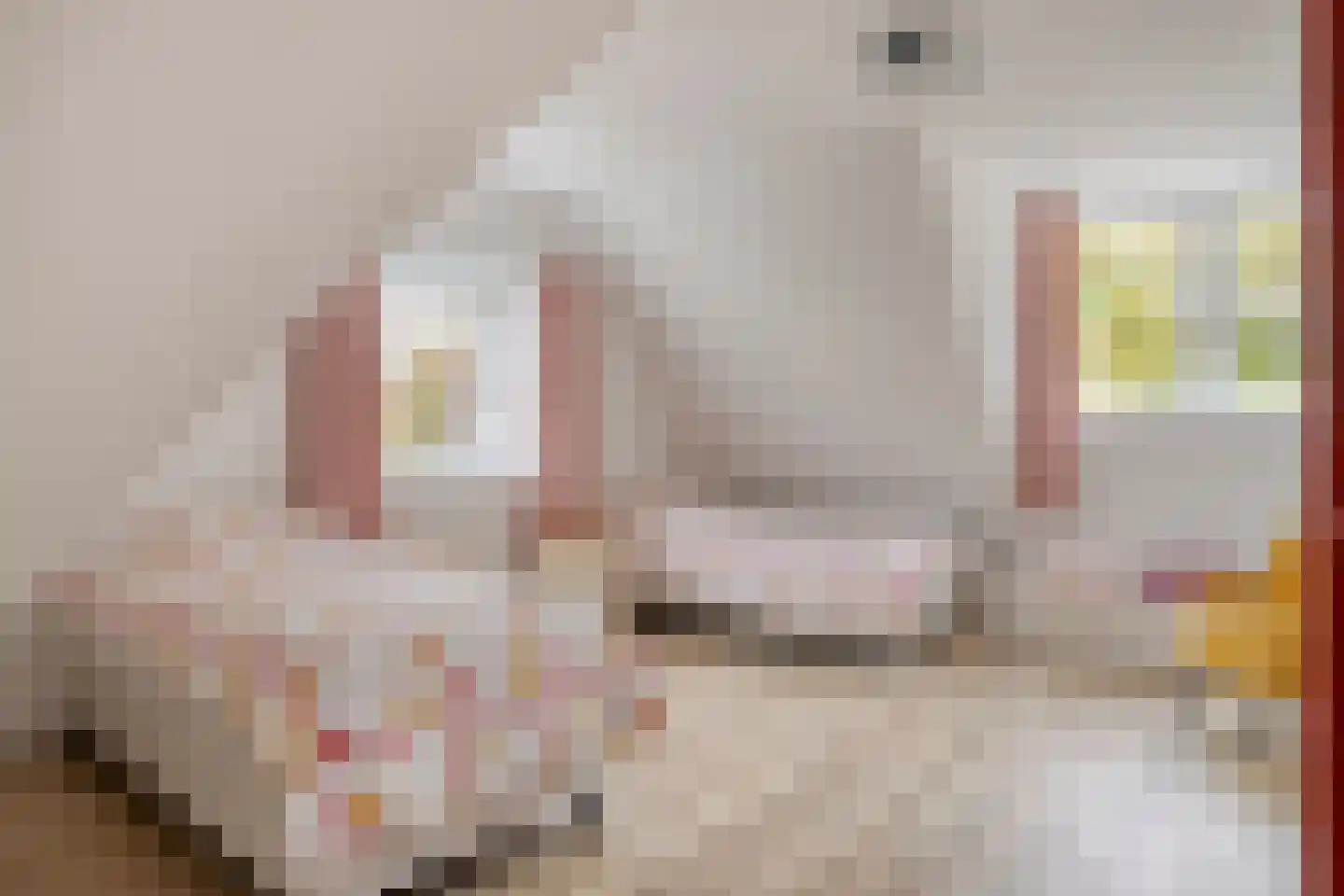 Hogezoom 160 Renesse thumbnail 27