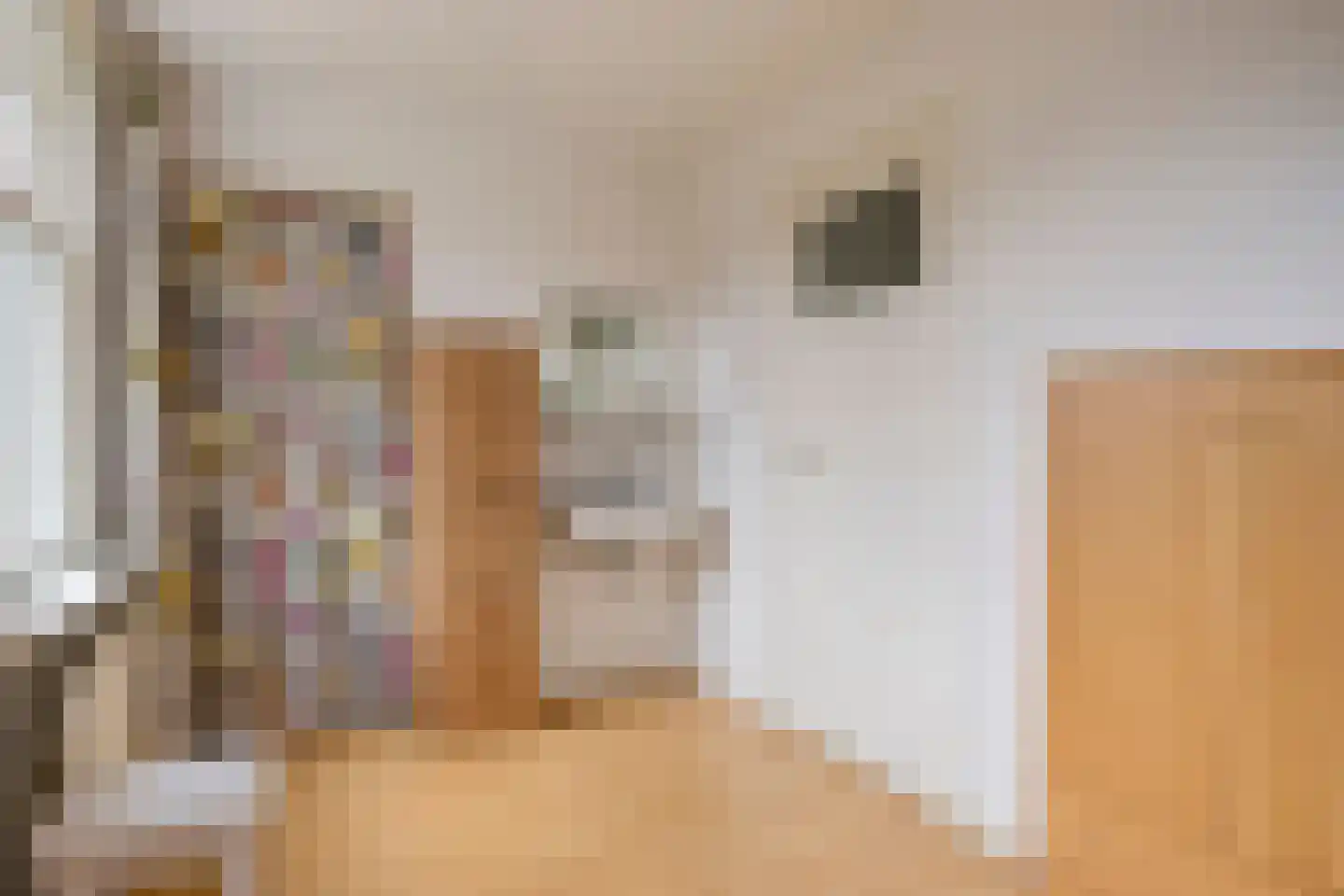 Hogezoom 160 Renesse thumbnail 39