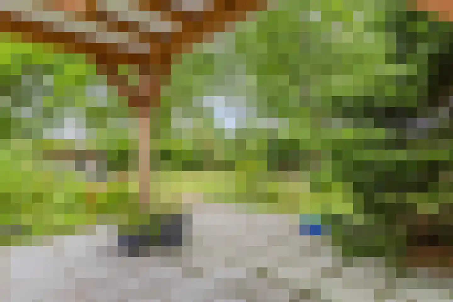 Hogezoom 160 Renesse thumbnail 44