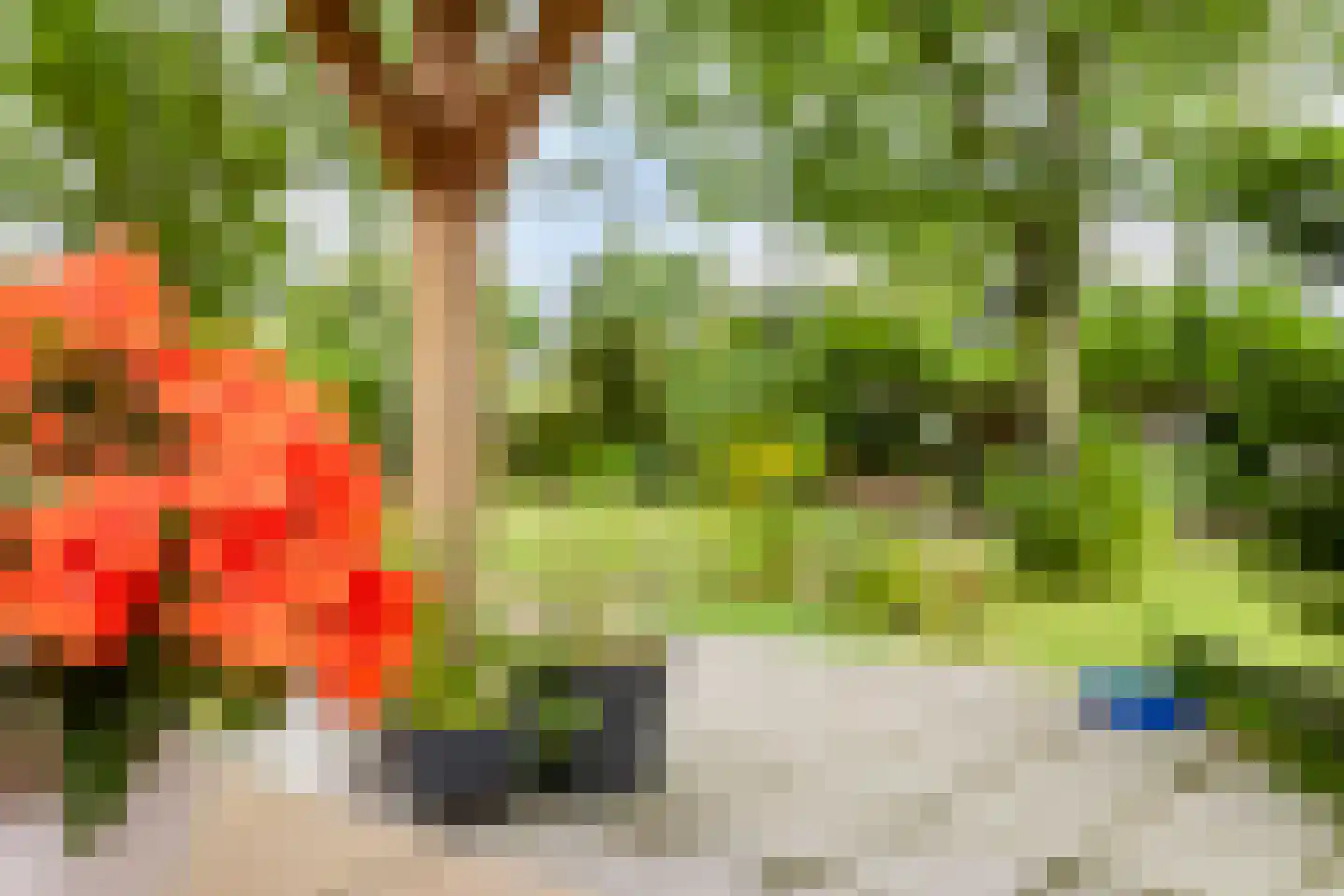Hogezoom 160 Renesse thumbnail 46
