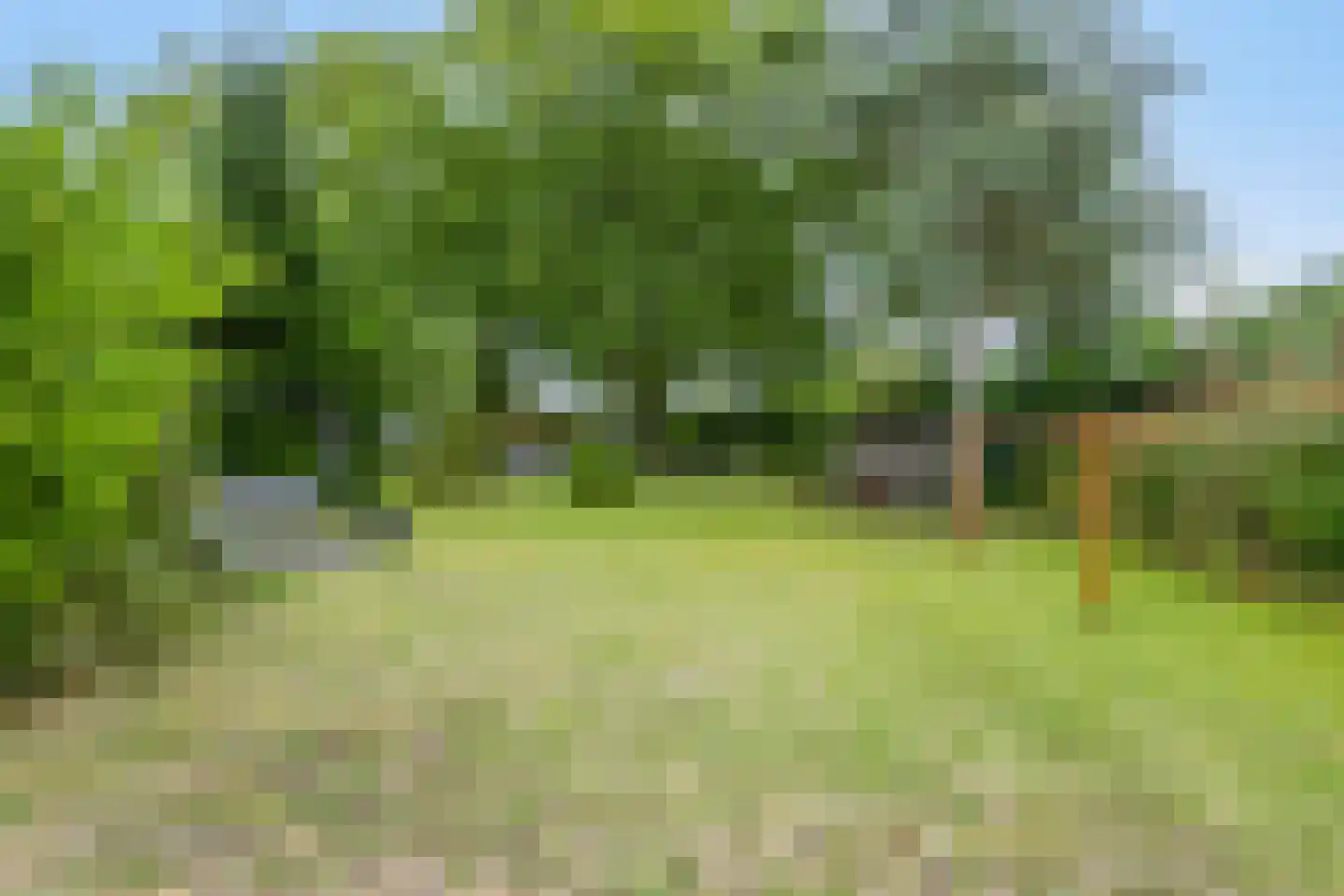 Hogezoom 160 Renesse thumbnail 49