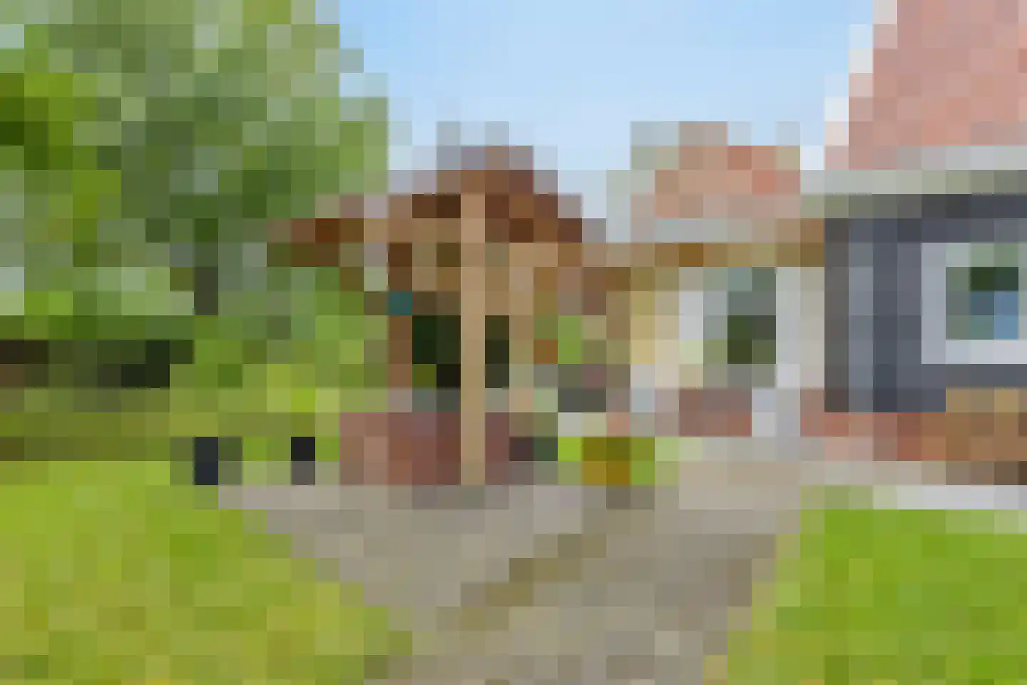 Hogezoom 160 Renesse thumbnail 51