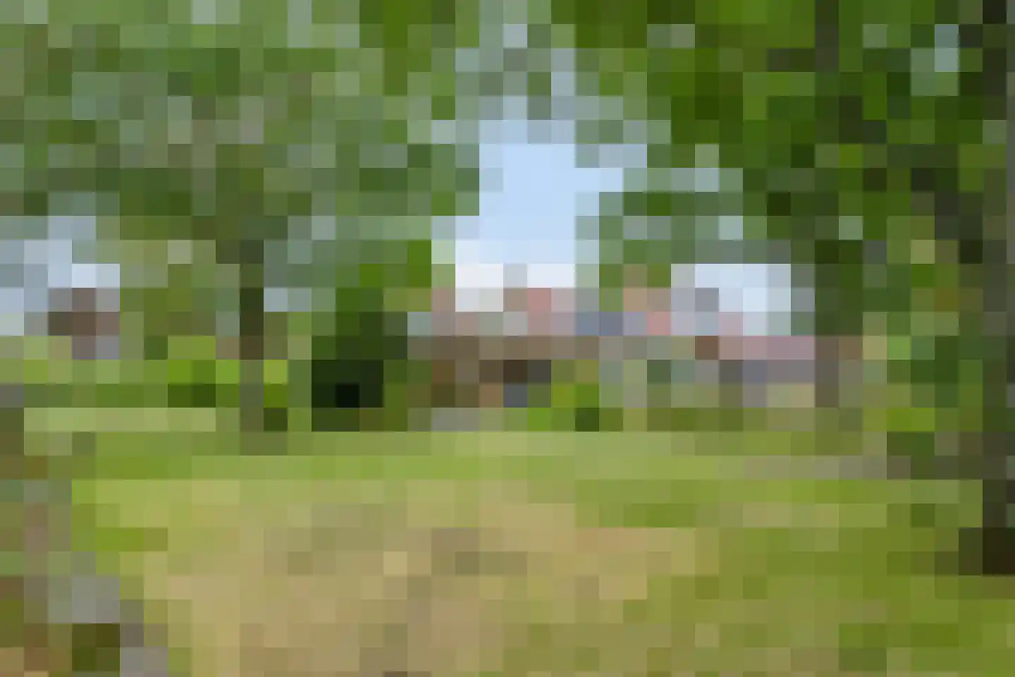 Hogezoom 160 Renesse thumbnail 52