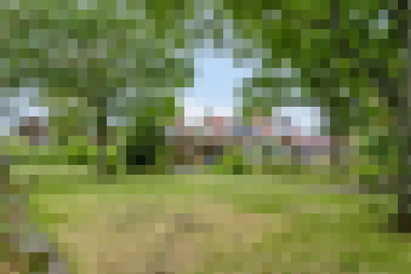Hogezoom 160 Renesse thumbnail 53