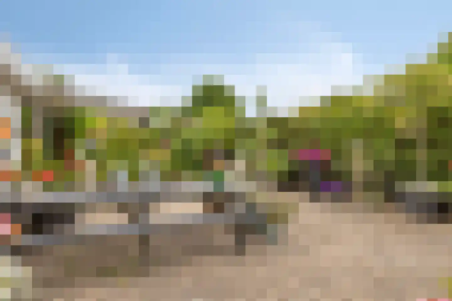 Hogezoom 24 Burgh-Haamstede thumbnail 37