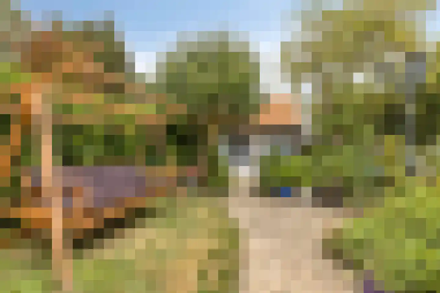 Hogezoom 24 Burgh-Haamstede thumbnail 43