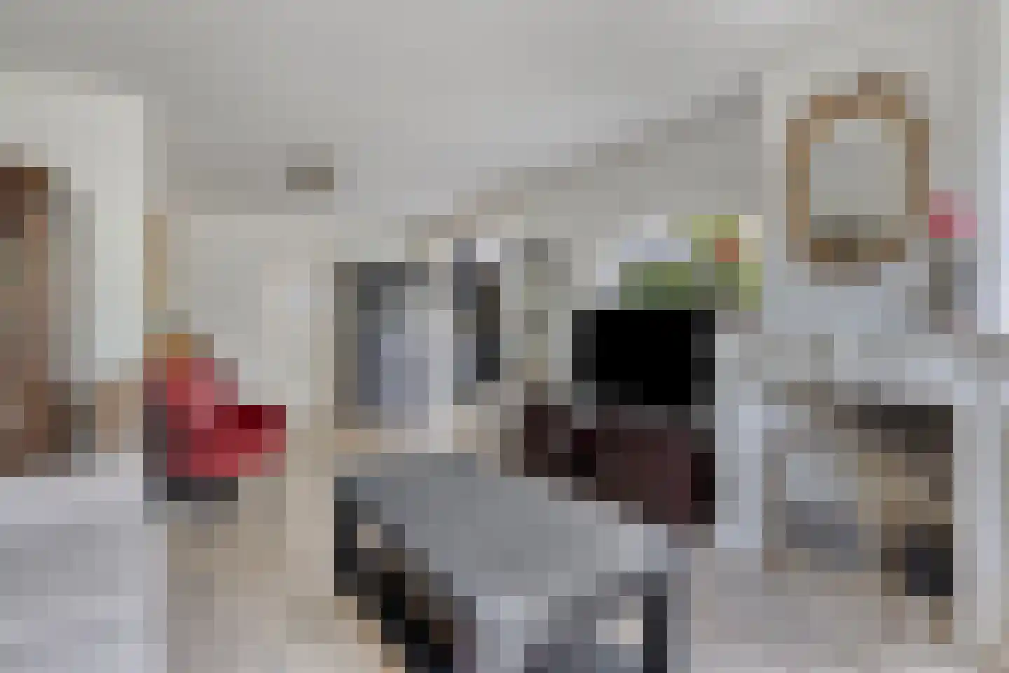 Hogezoom 24 Burgh-Haamstede thumbnail 5