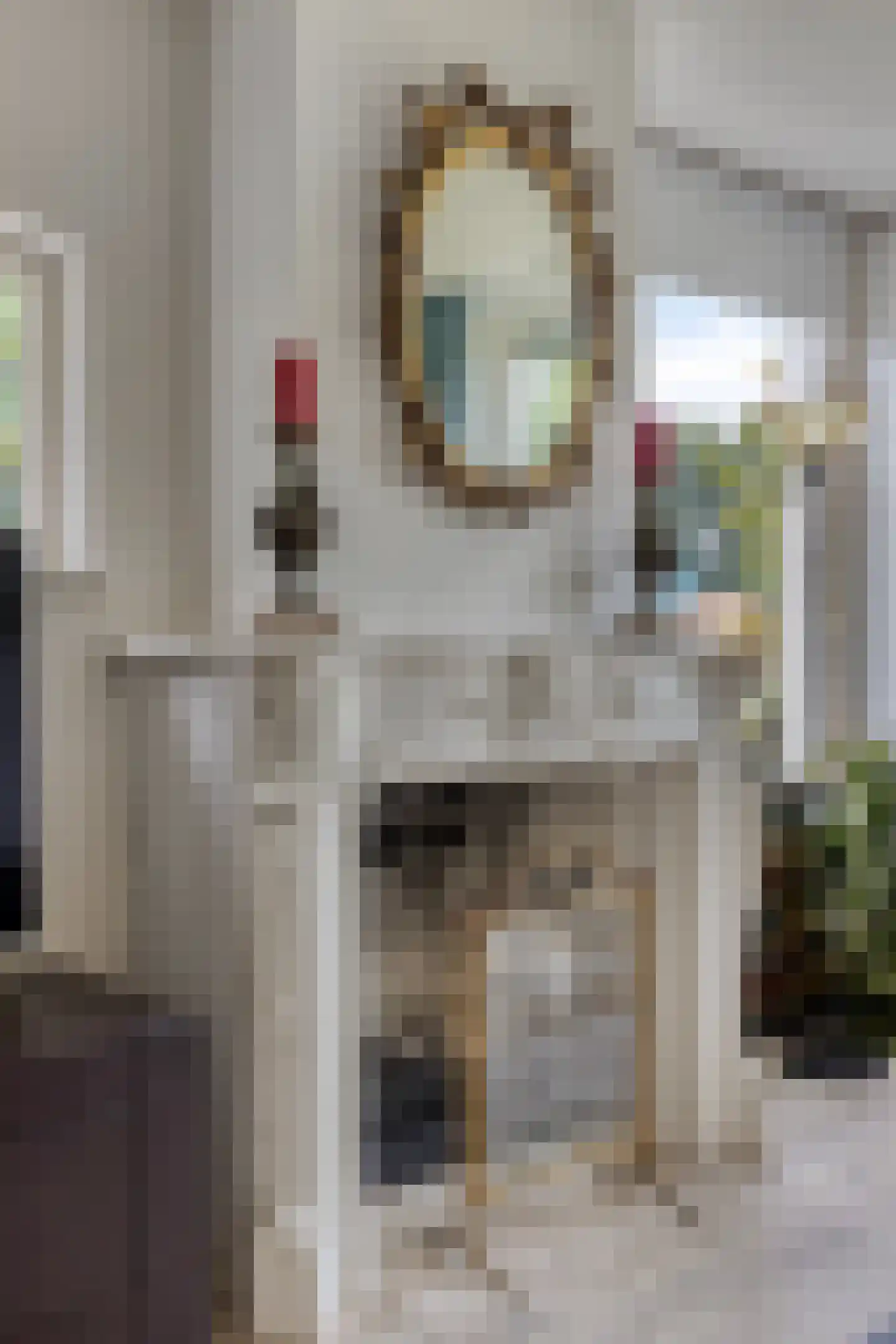 Hogezoom 24 Burgh-Haamstede thumbnail 6