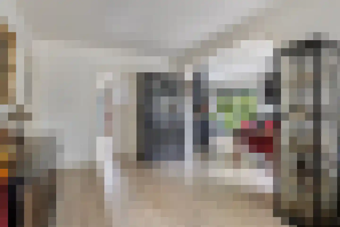 Hogezoom 24 Burgh-Haamstede thumbnail 7