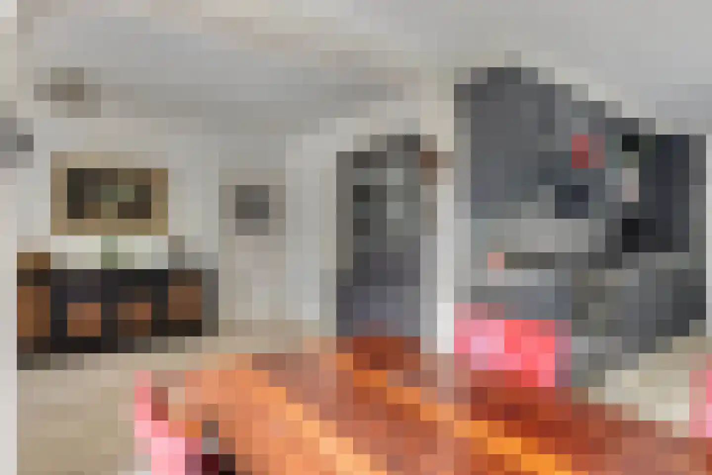 Hogezoom 24 Burgh-Haamstede thumbnail 9