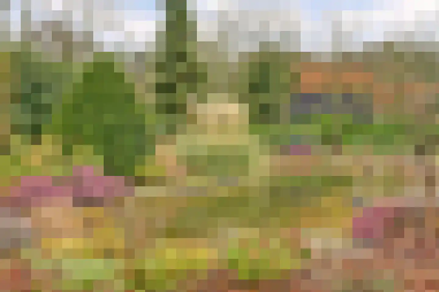 Hogezoom 3 0003 Burgh-Haamstede thumbnail 22