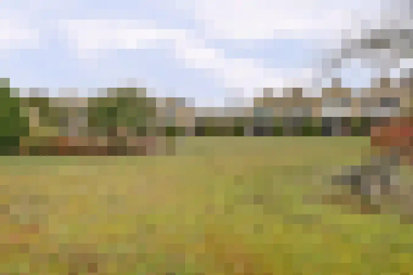 Hogezoom 3 0003 Burgh-Haamstede thumbnail 23