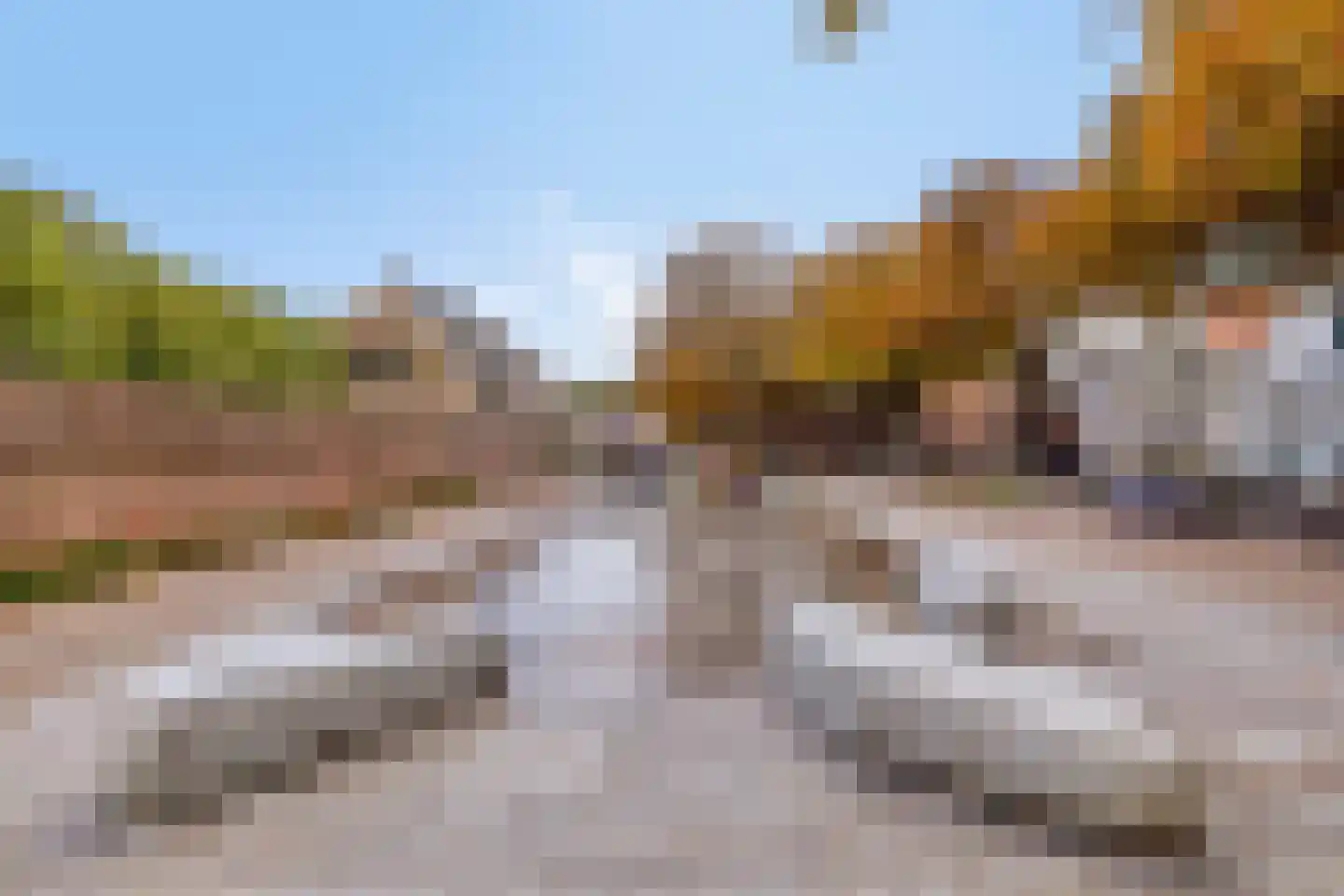 Hogezoom 3 0029 Burgh-Haamstede thumbnail 21