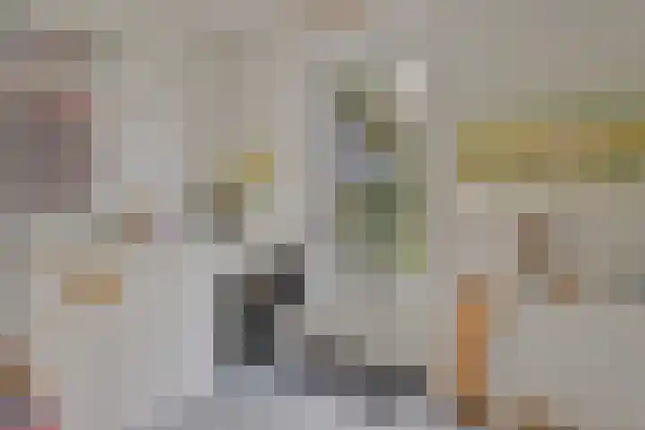 Hogezoom 33 Burgh-Haamstede thumbnail 14