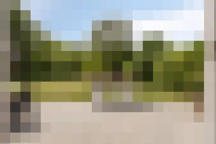 Hogezoom 33 Burgh-Haamstede thumbnail 21