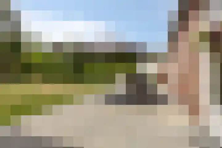 Hogezoom 33 Burgh-Haamstede thumbnail 23