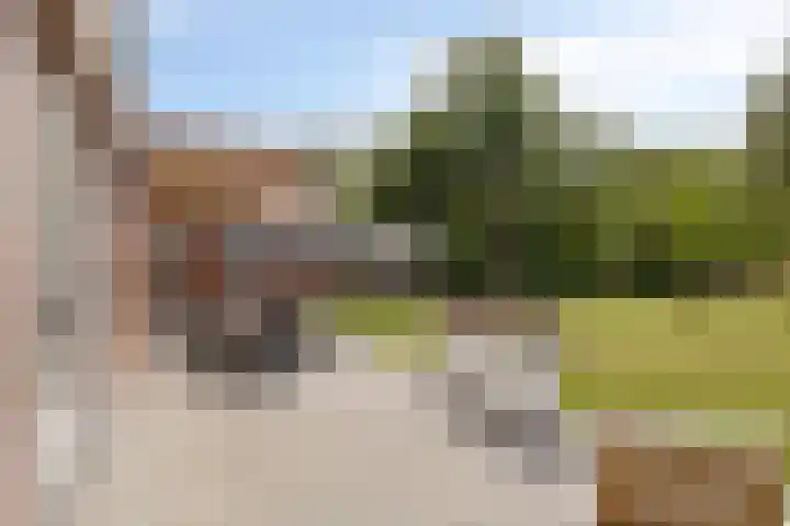 Hogezoom 33 Burgh-Haamstede thumbnail 24